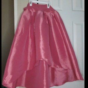 Beautiful pink poodle style skirt
